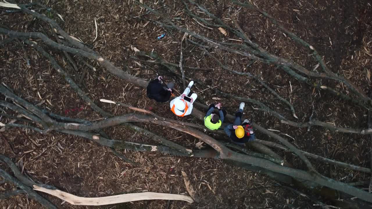 一个圆形运动摄像机拍摄在森林里坐在树上的工人。视频下载