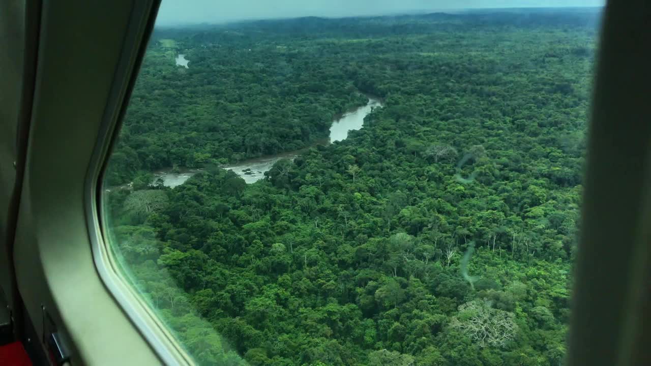 飞越苏里南雨林中的河流视频下载