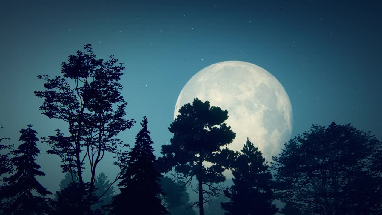 月亮和树木视频下载