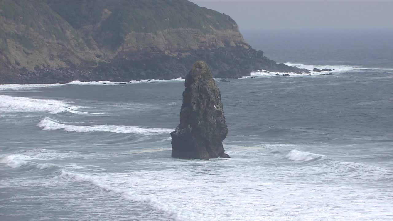日本伊豆大岛福岛岛视频素材