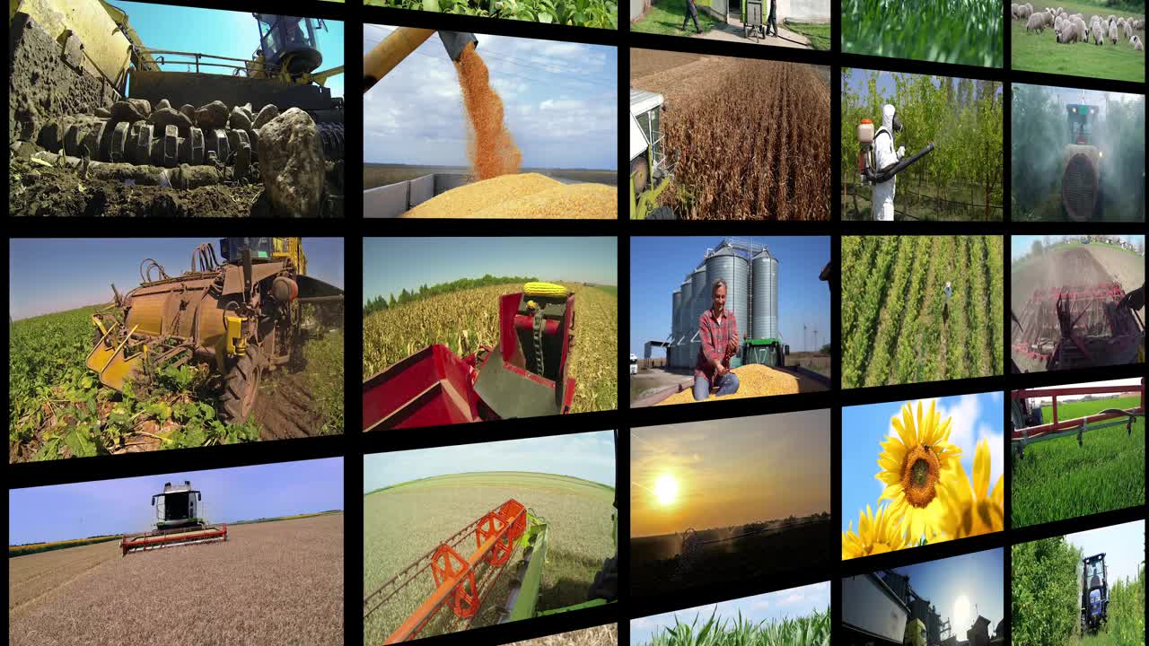 农业生产力概念视频墙视频下载