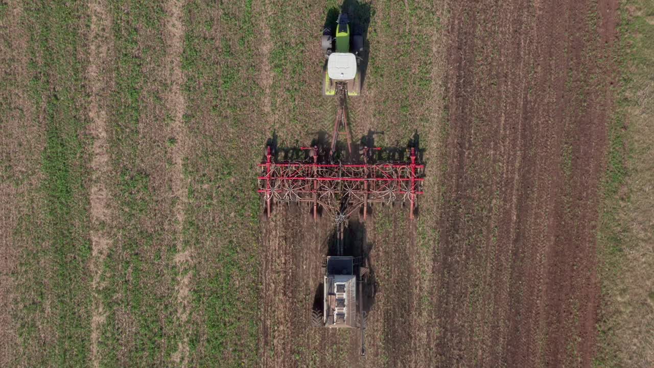 一台带有中耕机的拖拉机在谷物作物的行与行之间犁地。保持土壤中水分的自然供给。视频下载