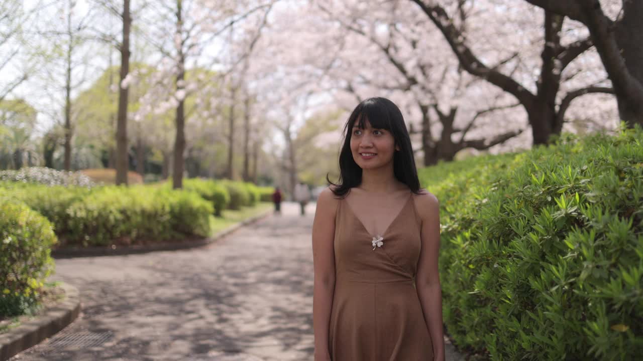 亚洲妇女在公园樱花下散步视频下载