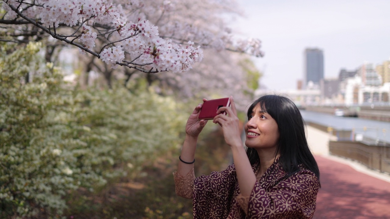 亚洲妇女在公园里拍摄樱花的照片视频下载