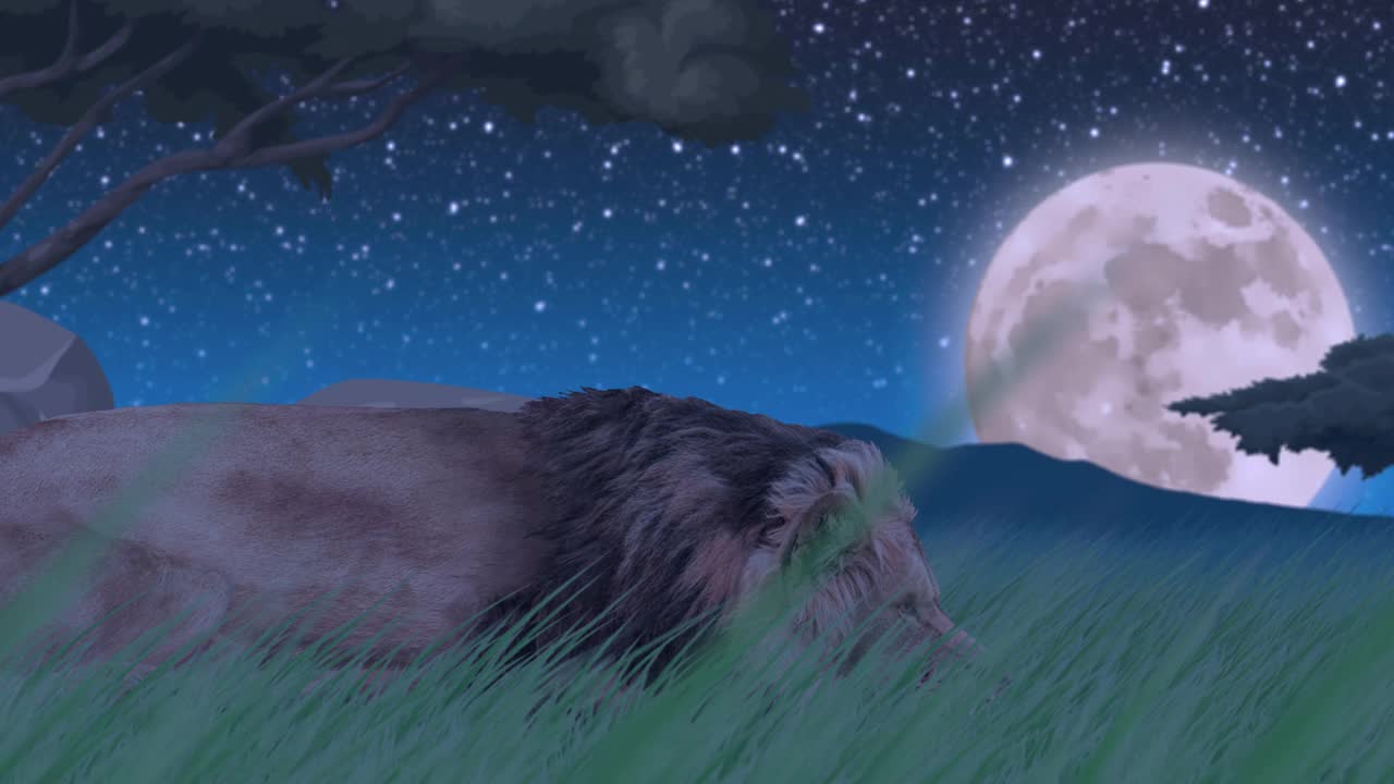 月光下的狮子骄傲视频下载