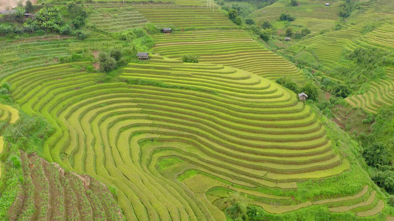 航拍在美丽的绿色梯田上的结构，无人机飞过农村景观-木仓寨，越南视频下载