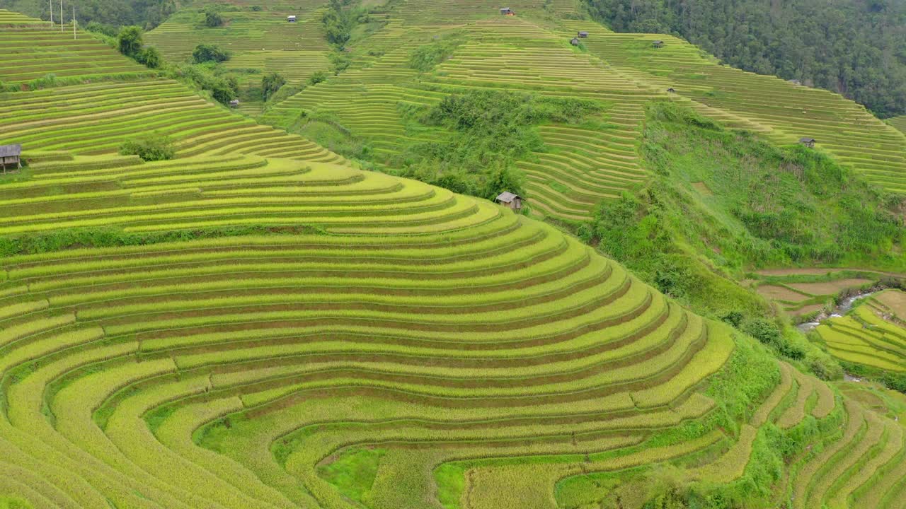 空中摇摄美丽的绿色梯田，无人机飞越农村景观-木仓寨，越南视频下载