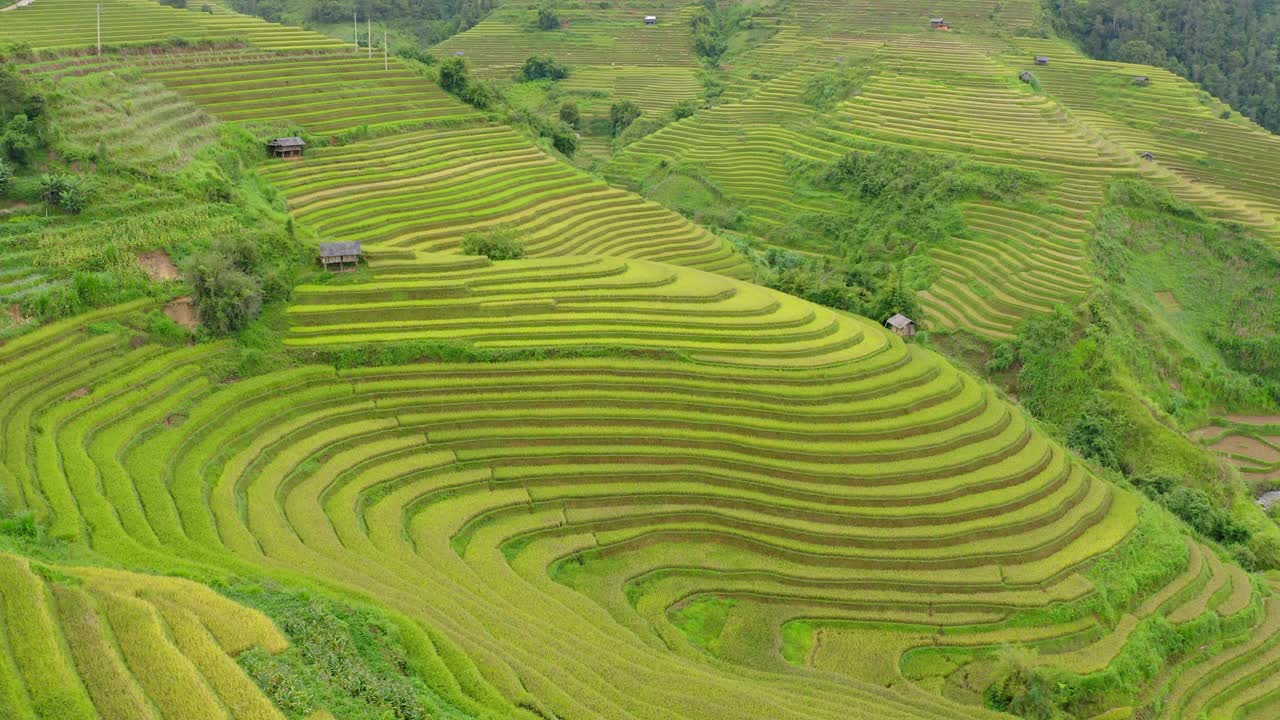 航拍在美丽的绿色梯田农田上的结构，无人机飞过农村景观-木仓寨，越南视频下载