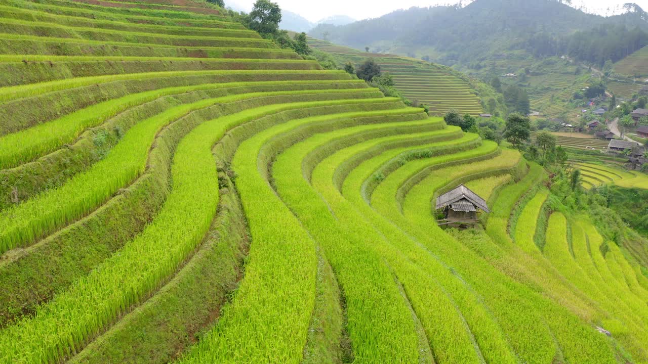 航拍拍摄结构美丽的绿色梯田，无人机飞越农村景观-木仓寨，越南视频下载