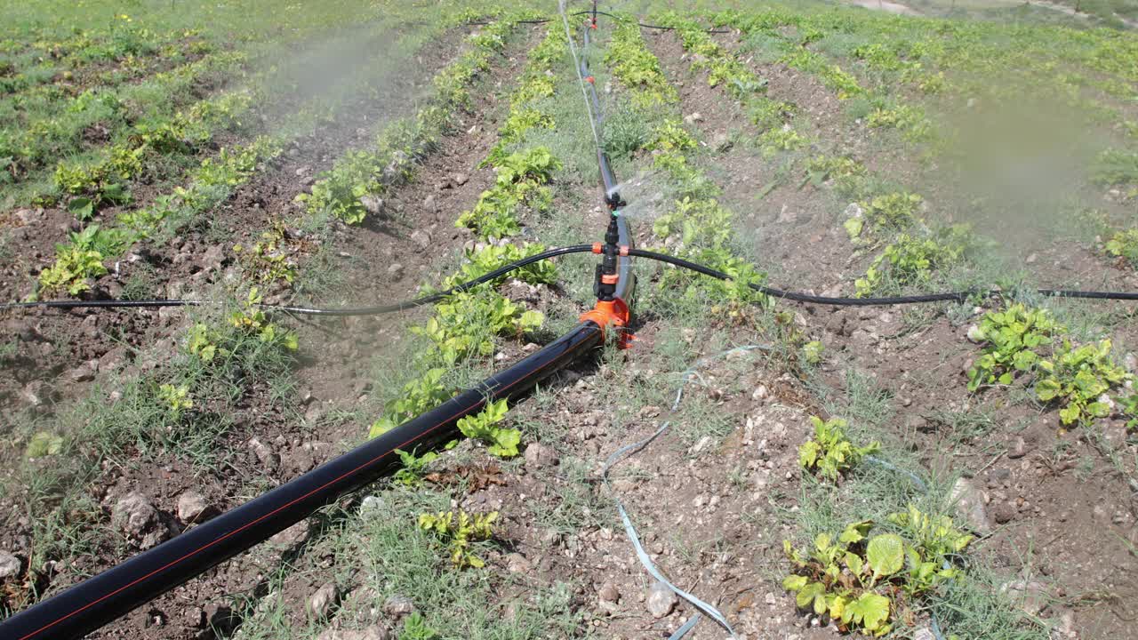 农田喷水灭火系统视频下载