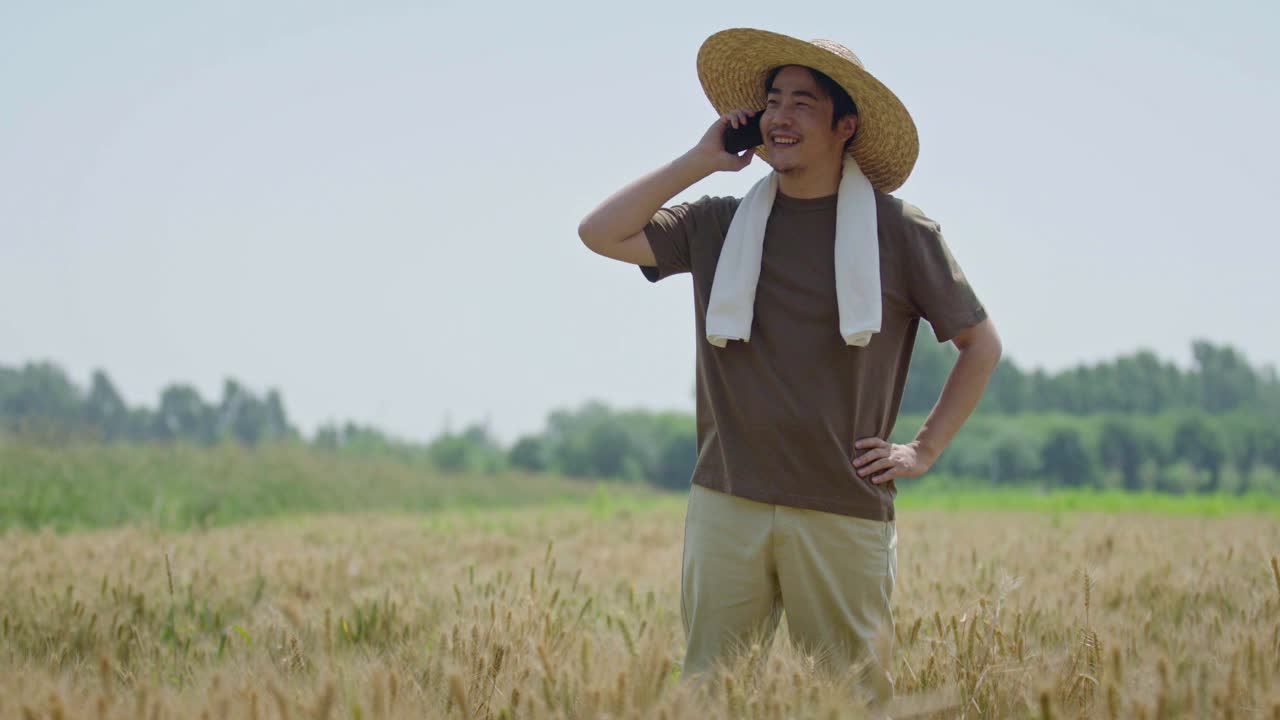 农民在麦田里用智能手机说话，4K视频素材