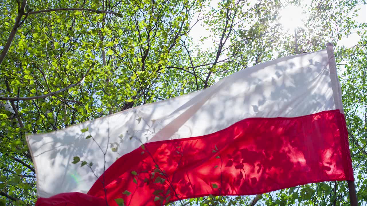 波兰国旗在风中摇曳视频下载