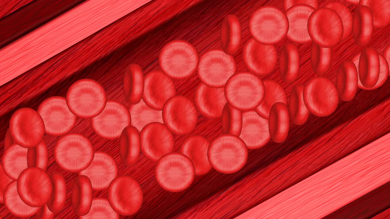 血液细胞移动。视频下载