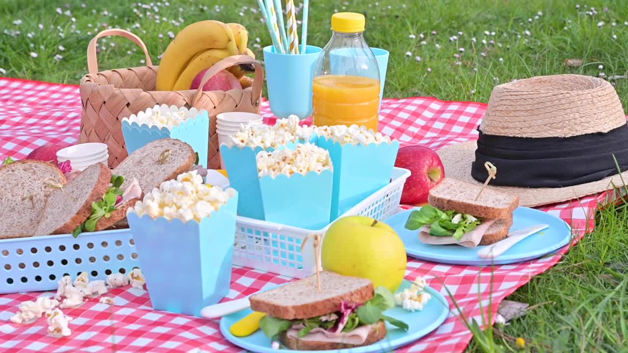 午餐在公园的绿色草地上。夏天阳光明媚的日子和野餐篮视频下载
