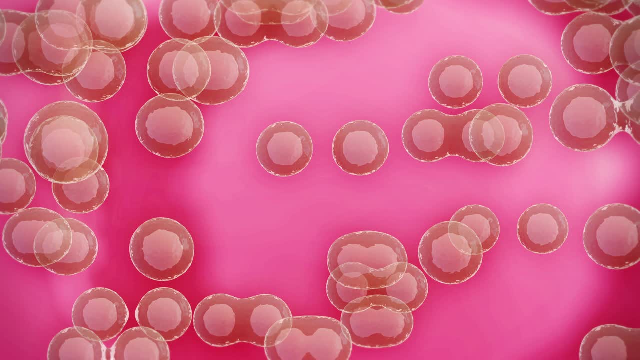 细胞粉红色视频下载