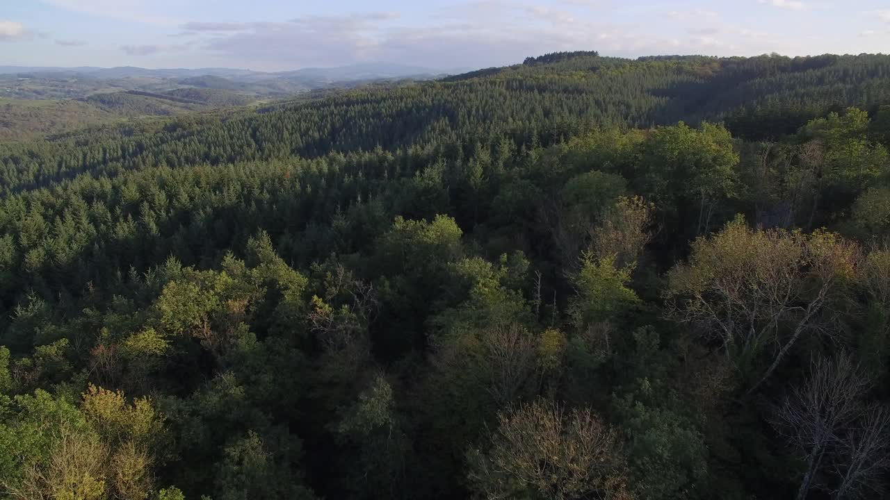 鸟瞰图森林山谷。法国奥弗涅。视频下载