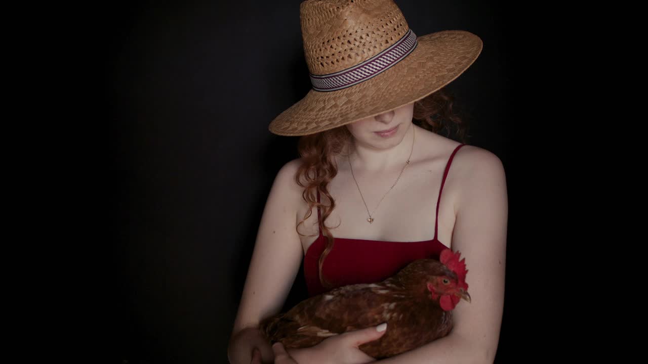 女人的肖像抱着母鸡视频下载