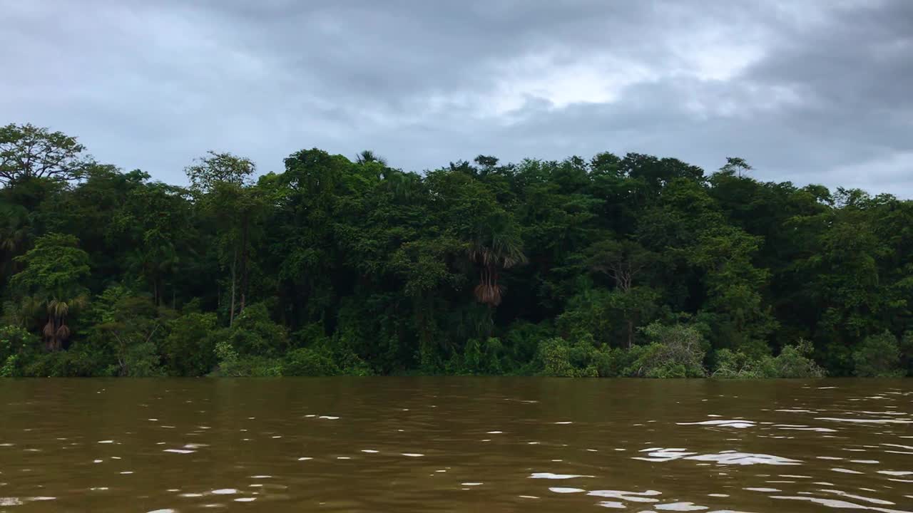 从河上的小船上看苏里南的丛林视频下载