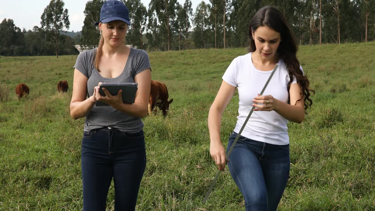 农民们用平板和牧杖测量牧场视频素材