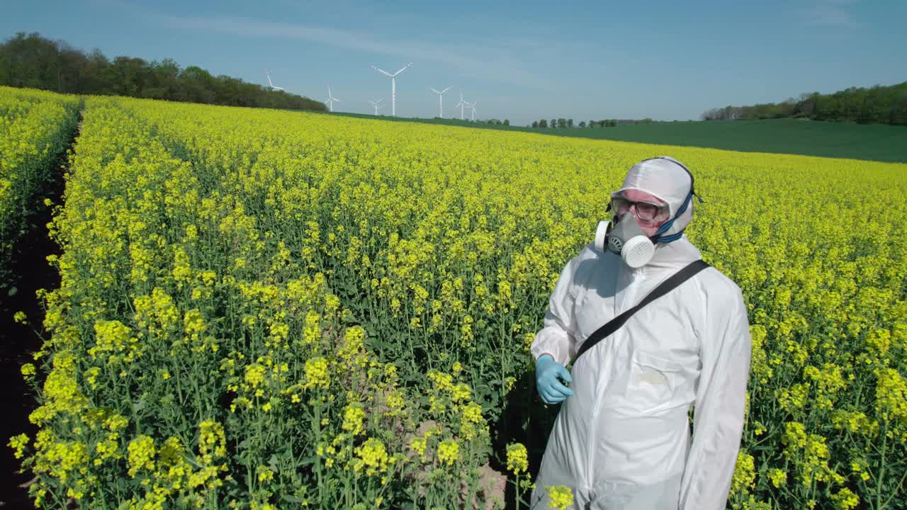 一名工人穿着防护服，戴着口罩站在油菜籽地里。视频素材