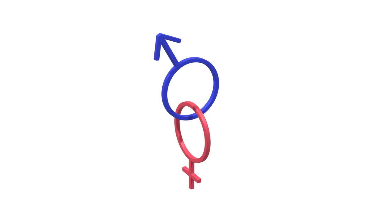女性和男性符号在白色背景上一起旋转，循环视频下载