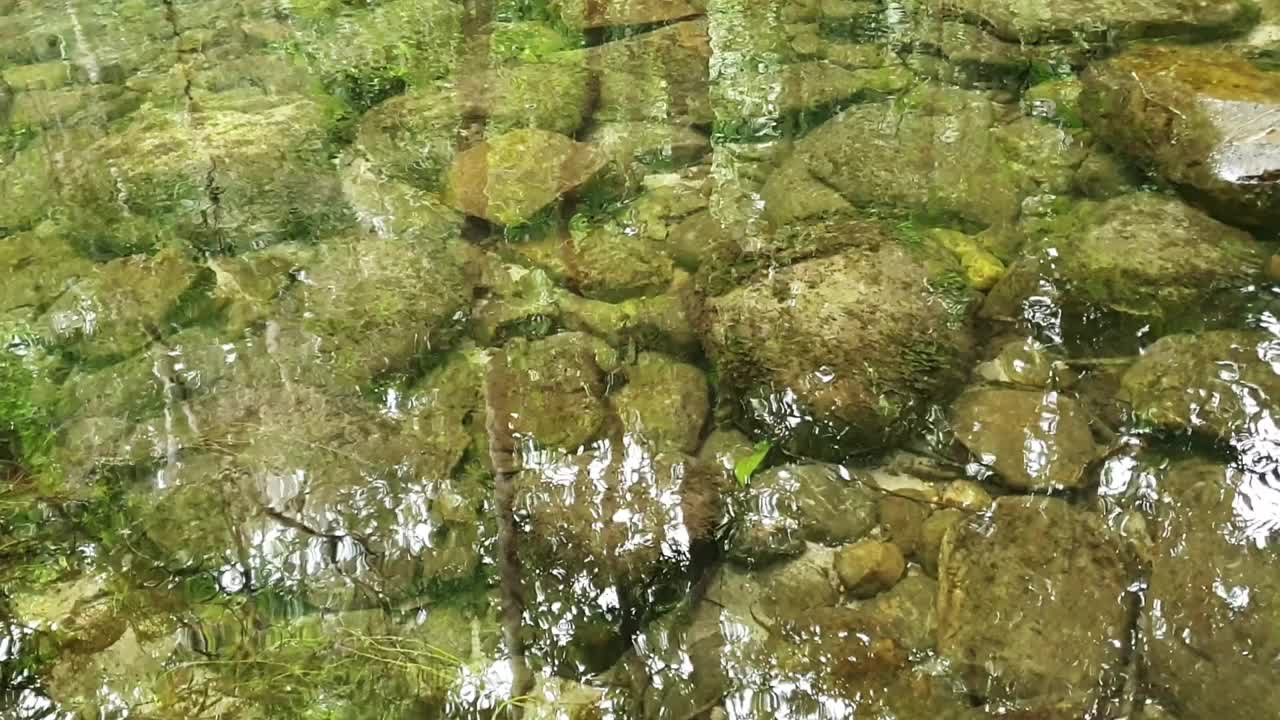 清澈的河水，水面上有绿色的岩石和树木视频下载