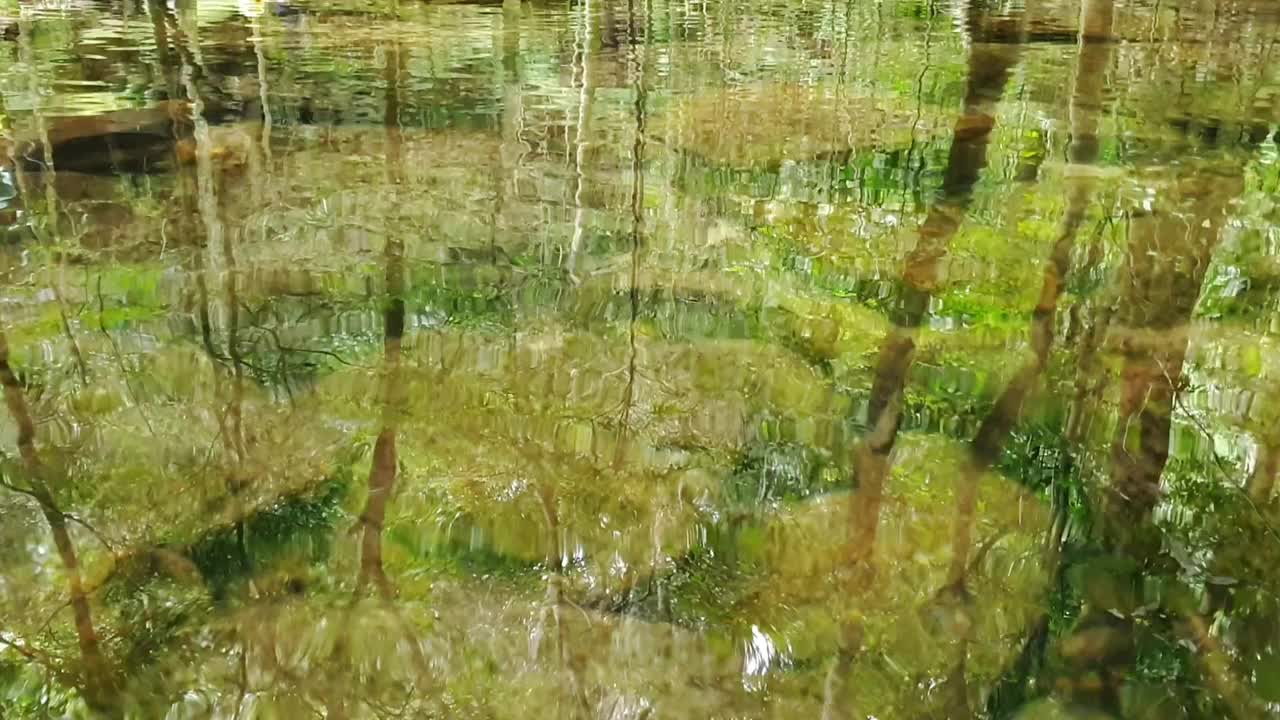 清澈的河水，水面上有绿色的岩石和树木视频下载