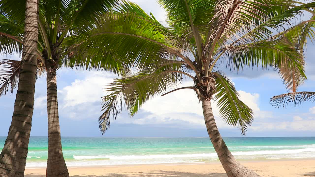 泰国普吉岛的热带海滩，椰子树，白色的沙滩和绿松石般的海水。视频下载