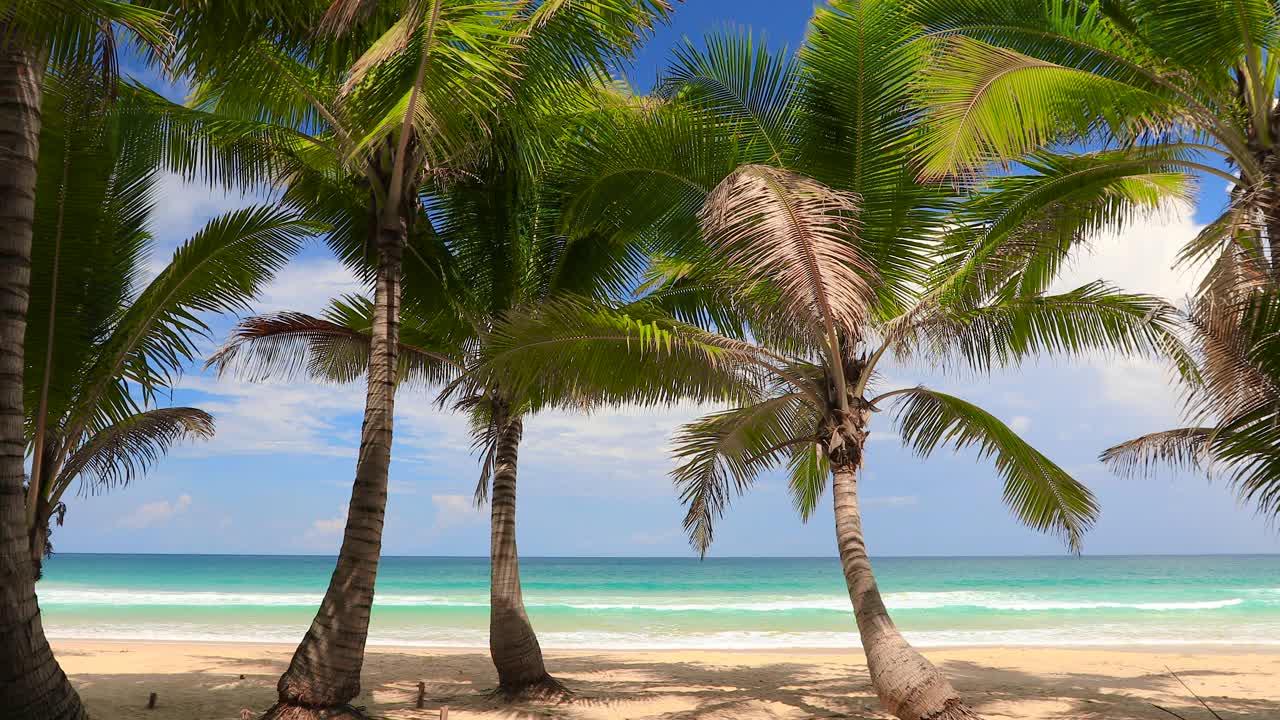 令人惊叹的泰国普吉岛热带岛屿海滩，海滩上的阳光在夏天的阳光。视频下载
