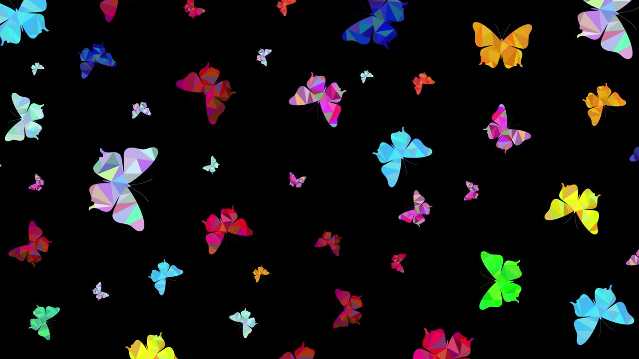 多色的多边形蝴蝶旋转在黑色的背景。绘制的蝴蝶运动的动画。放大和缩小动作动画。水平构图，4k视频质量视频下载