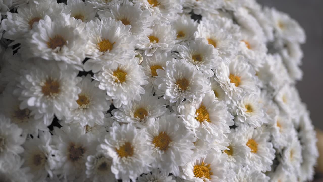 婚礼装饰白色雏菊花束为新娘和伴娘，特写，选择性聚焦视频下载