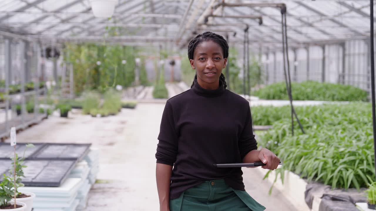 微笑的非洲妇女在温室工作视频素材