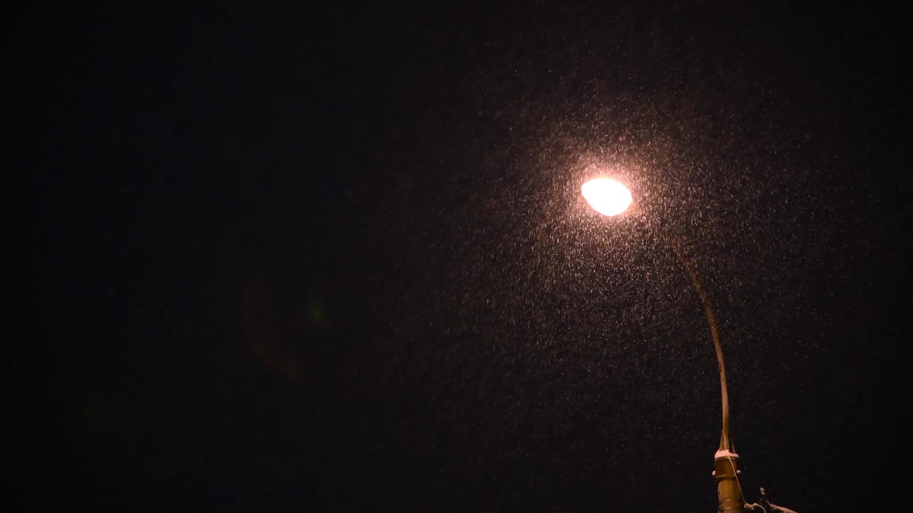 夜晚的暴风雪和街灯视频素材