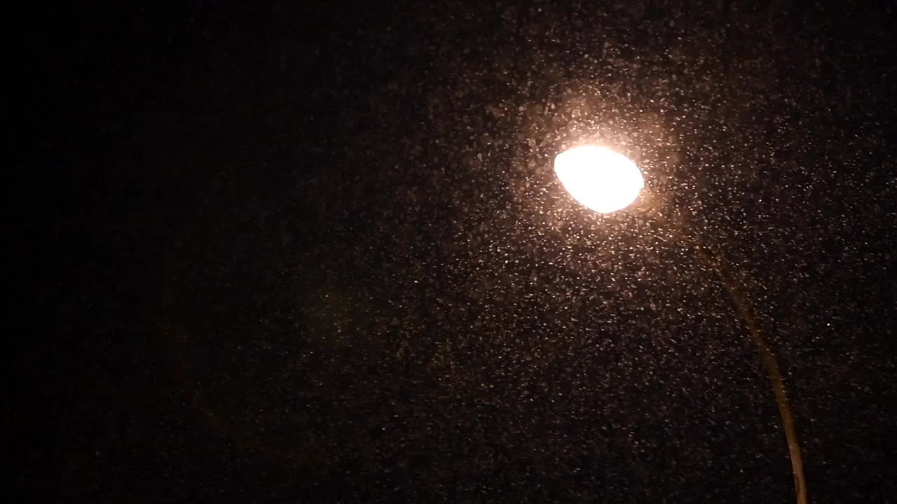 夜晚，雪花落在路灯前视频素材