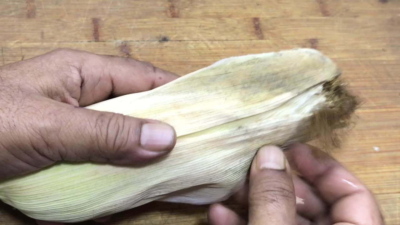 玉米棒视频下载