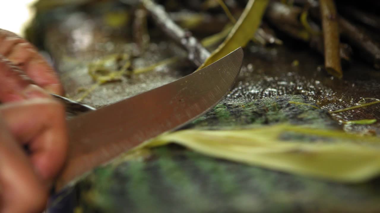 乌兹别克斯坦撒马尔罕，清洗竹皮污垢的特写镜头视频下载