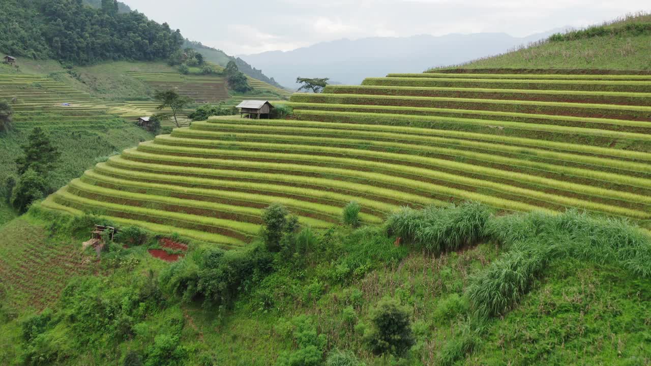 空中向前的田园诗拍摄的梯田在山丘上，无人机飞过河流在绿色的景观-木仓寨，越南视频下载