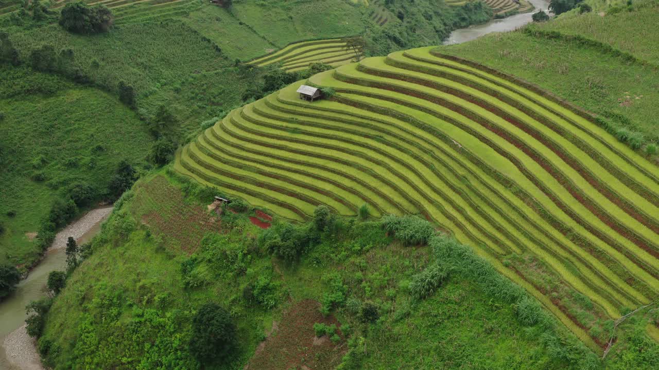 空中向后的风景梯田在山丘上，无人机飞越河流-木仓寨，越南视频下载