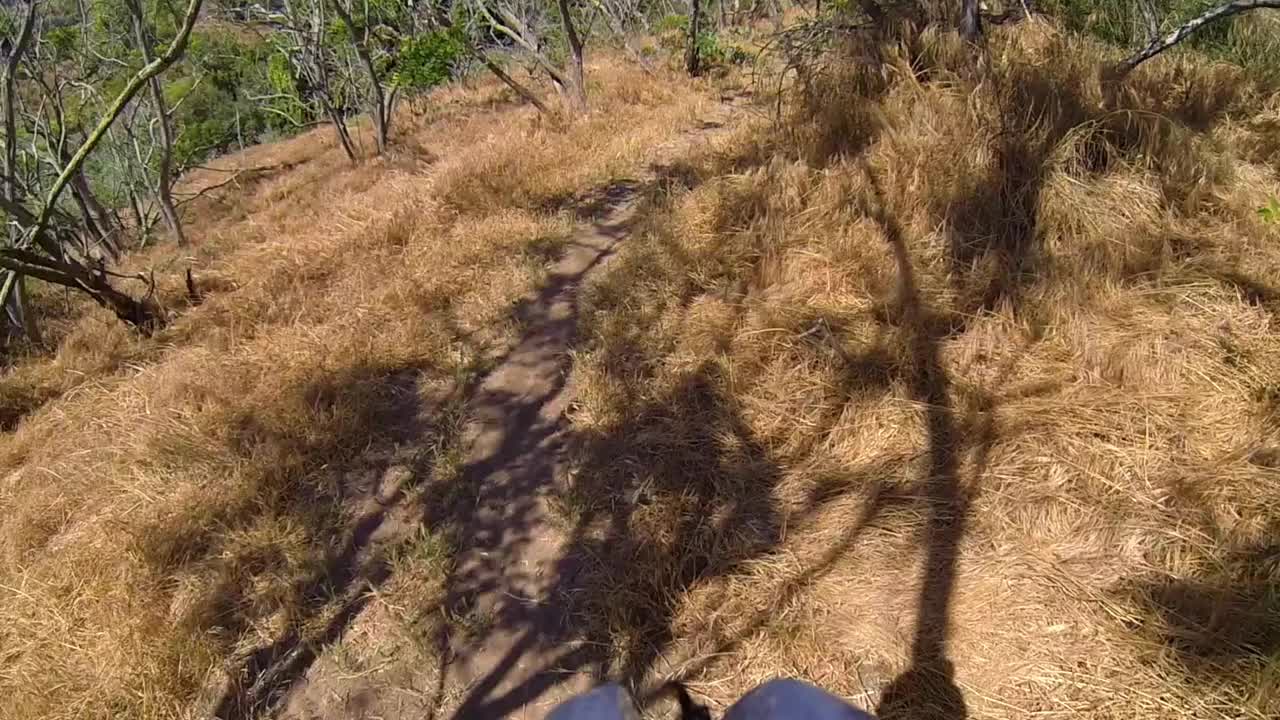 在阳光明媚的日子里，野生植物在风景中的路径- Palos Verdes牧场，加利福尼亚视频素材