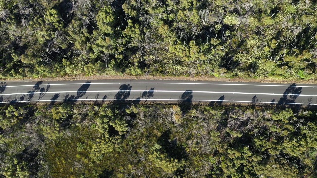 鸟瞰图红色汽车行驶在绿色森林的道路上，树影视频下载