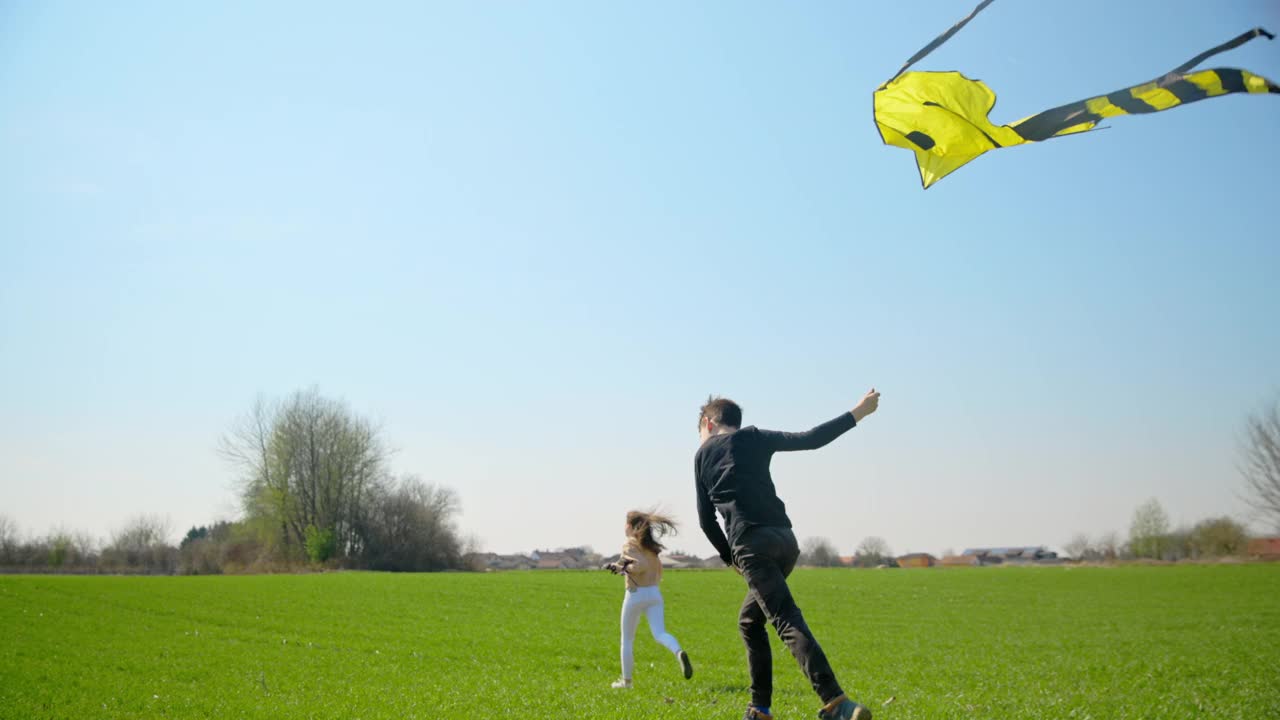 哥哥和妹妹在草地上玩玩具风筝视频素材