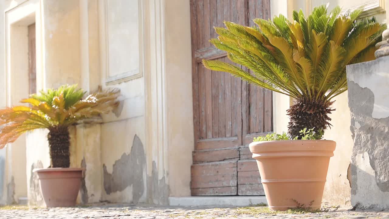 意大利布拉恰诺镇，传统木门侧面的装饰棕榈树视频下载