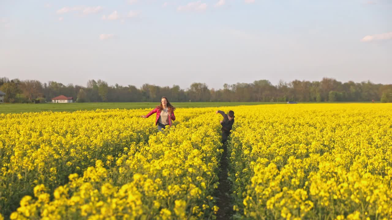 弟弟和妹妹在黄色的花田里奔跑视频素材