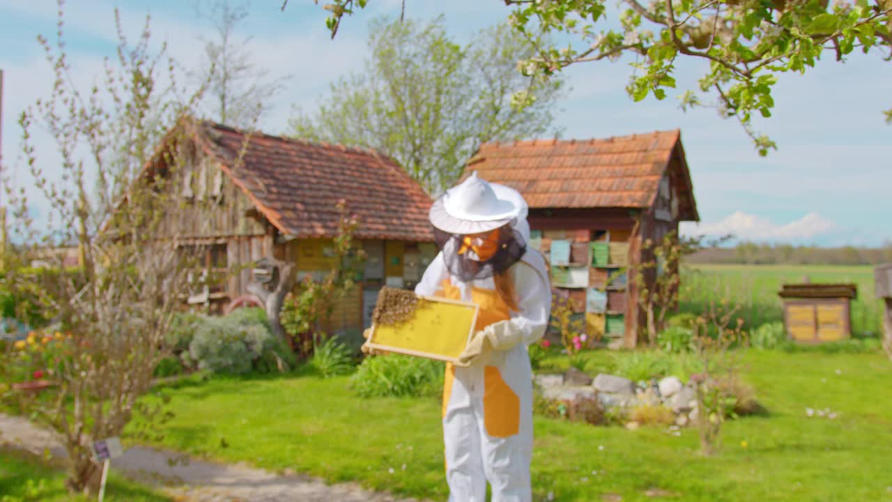 快乐的养蜂人正在检查装满蜜蜂的蜂巢视频下载