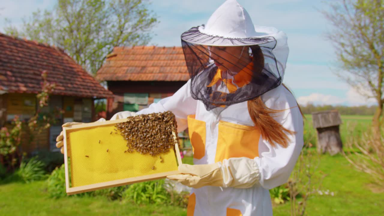 养蜂人检查装满蜜蜂的蜂窝架视频下载