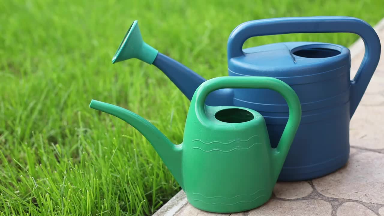 园丁的手在舵蓝色手套选择一个小浇水罐浇植物和园艺。夏季是在农村种植和养护草地的季节。视频下载