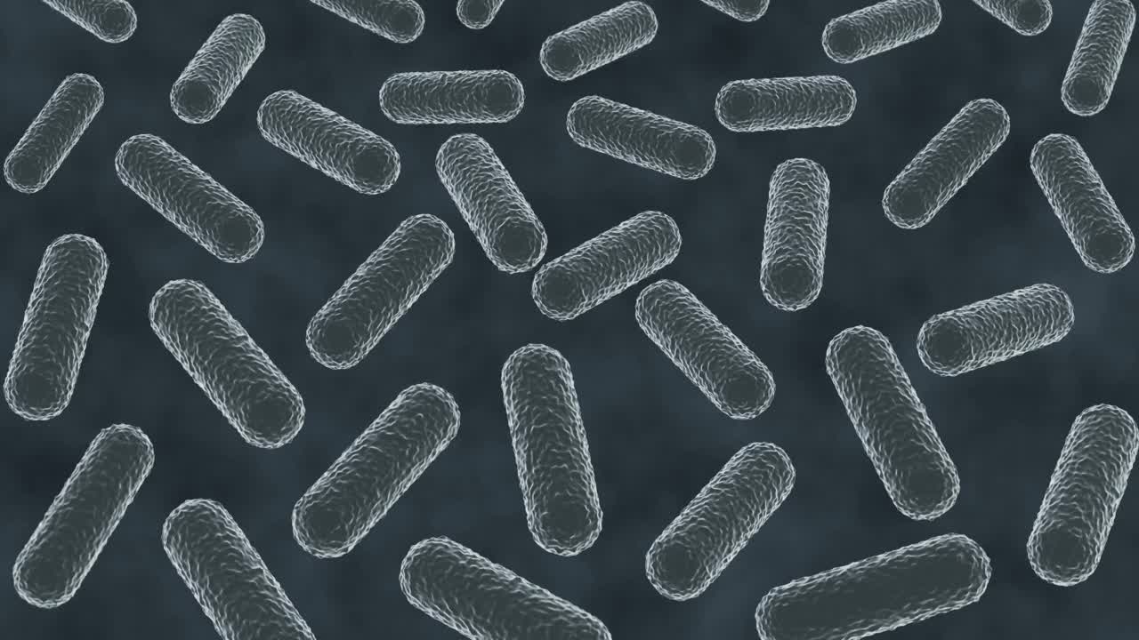芽孢杆菌在显微镜下的三维动画视频下载
