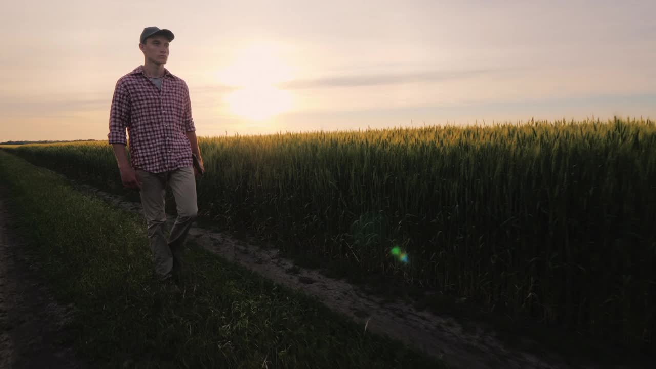一个成功的农民在日落时沿着他的麦田散步视频下载