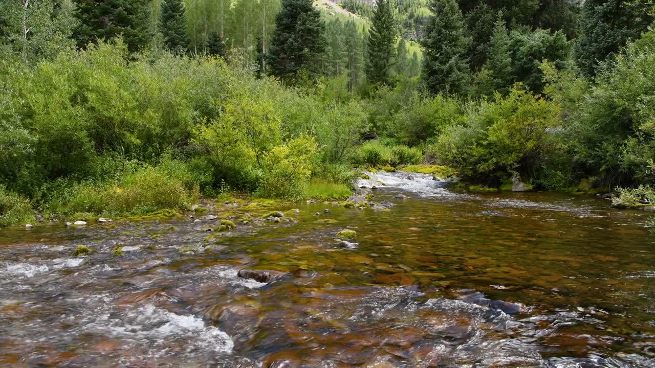 栗色小溪-夏天的观点，水晶清晰的栗色小溪运行在葱翠的绿色栗色小溪山谷在栗色钟山峰的基础。视频下载