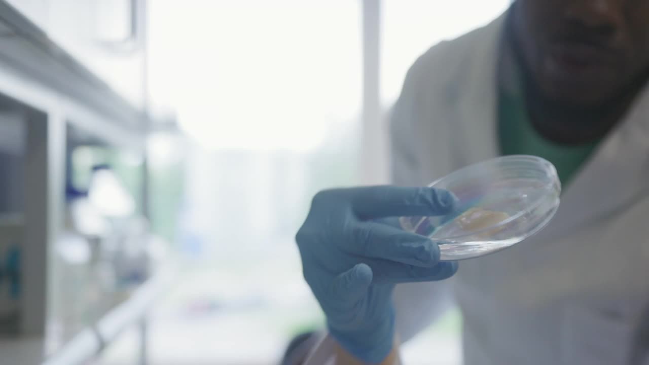 男性和女性生物技术科学家在培养皿中检查培养肉视频下载